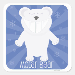 Molar Bear Square Sticker