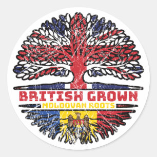 Moldova Moldovan Uk United Kingdom British Tree Classic Round Sticker
