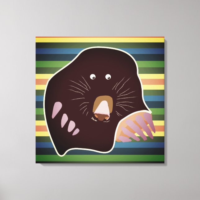 Mole and Stripes Wrapped Canvas (Front)