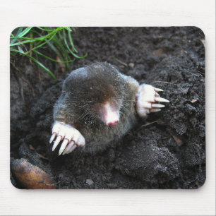 Mole Mouse Mat