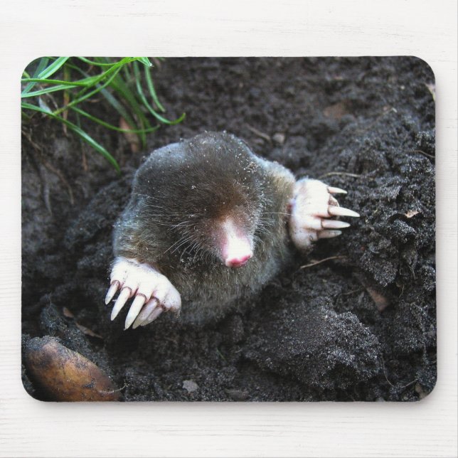 Mole Mouse Mat (Front)