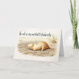 Mole Stoichiometry Chemistry Quote Science Humour Card