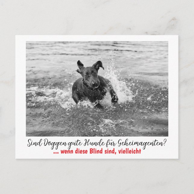 Mole: the dog for secret agents  postcard (Front)