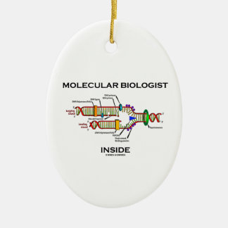 Molecular Biologist Inside (DNA Replication) Ceramic Tree Decoration
