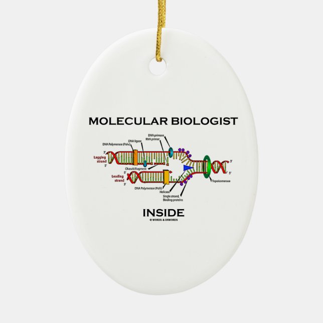 Molecular Biologist Inside (DNA Replication) Ceramic Tree Decoration (Front)