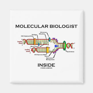 Molecular Biologist Inside (DNA Replication) Magnet