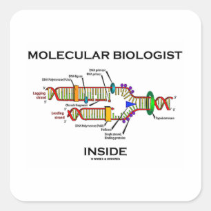 Molecular Biologist Inside (DNA Replication) Square Sticker
