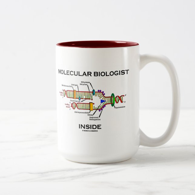 Molecular Biologist Inside (DNA Replication) Two-Tone Coffee Mug (Right)