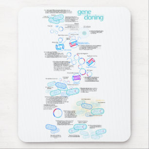 Molecular cloning using bacteria and plasmids mouse mat