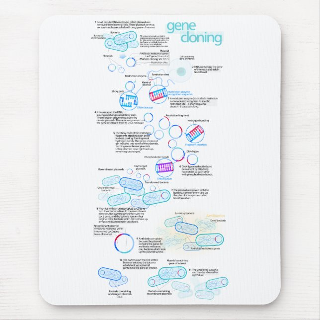 Molecular cloning using bacteria and plasmids mouse mat (Front)