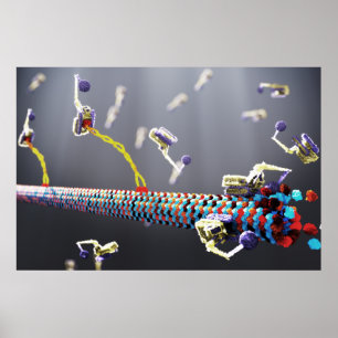 Molecular Machines Poster