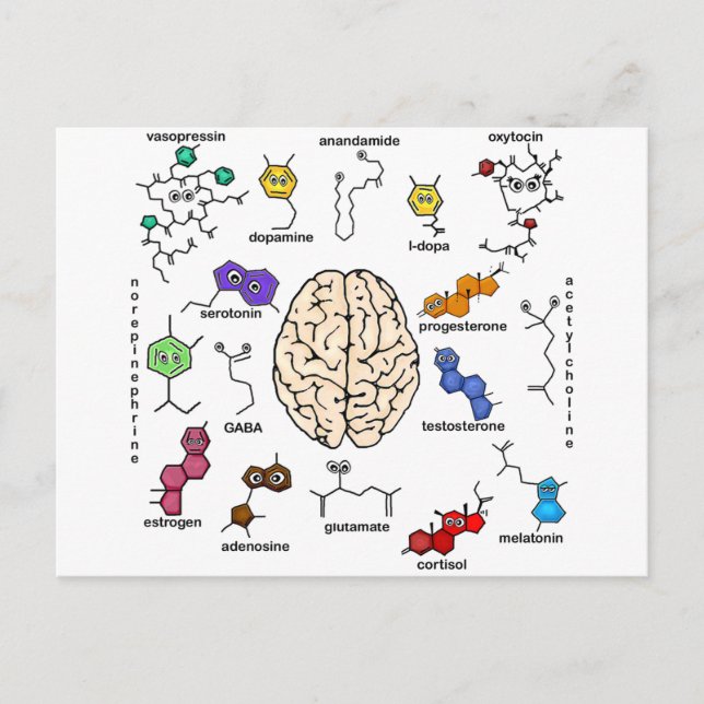 Molecules Galore! Postcard (Front)