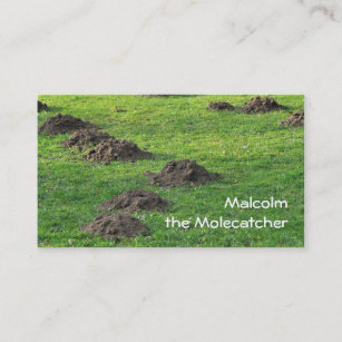 Molehills in a lawn business card