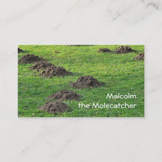 Molehills in a lawn business card (Front)
