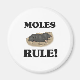 MOLES Rule! Magnet