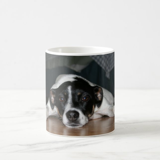 "Molli" Rat Terrier dog Mug (Center)
