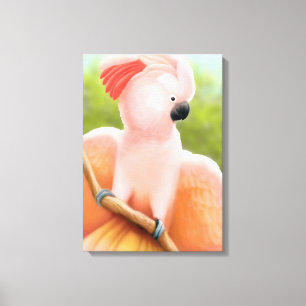 Molluccan Pink Cockatoo Wrapped Canvas