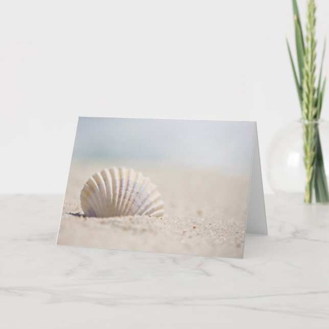 Mollusk Seashell Card (Front)