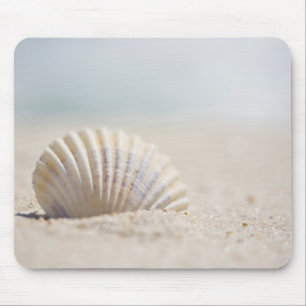 Mollusk Seashell Mouse Mat