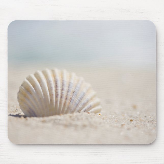 Mollusk Seashell Mouse Mat (Front)
