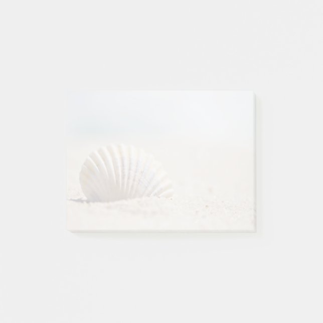 Mollusk Seashell Post-it Notes (Front)