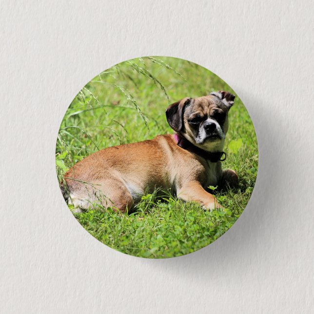 Molly     3 cm round badge (Front)