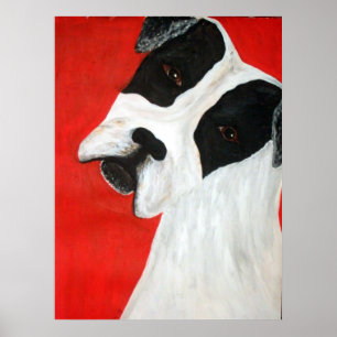 Molly Dog Poster