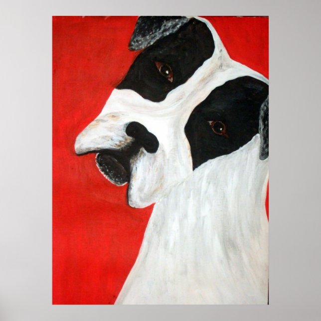 Molly Dog Poster (Front)