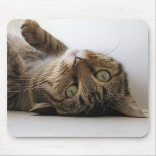 Molly Mouse Mat