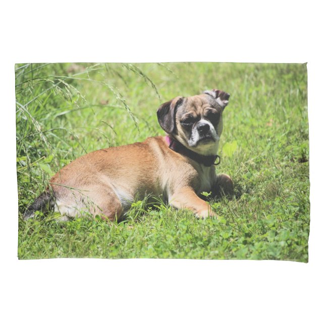 Molly   pillowcase (Front)