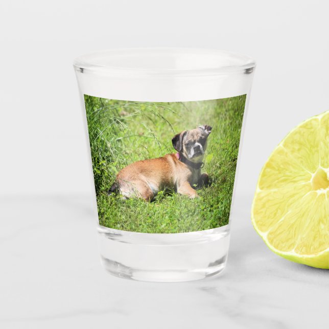 Molly Shot Glass (Front)