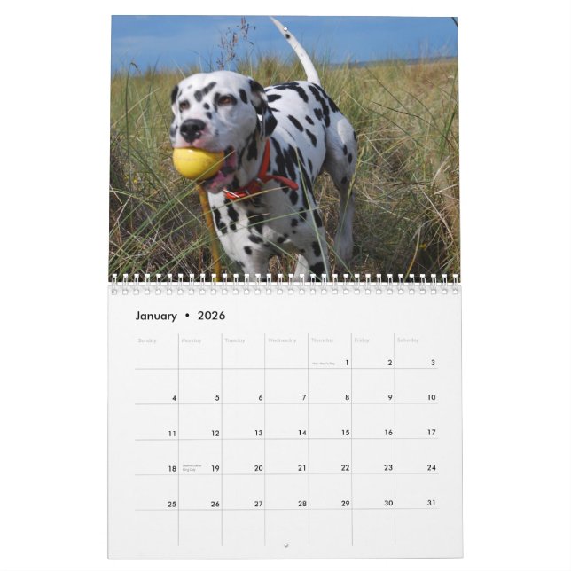 Molo Calendar (Jan 2026)