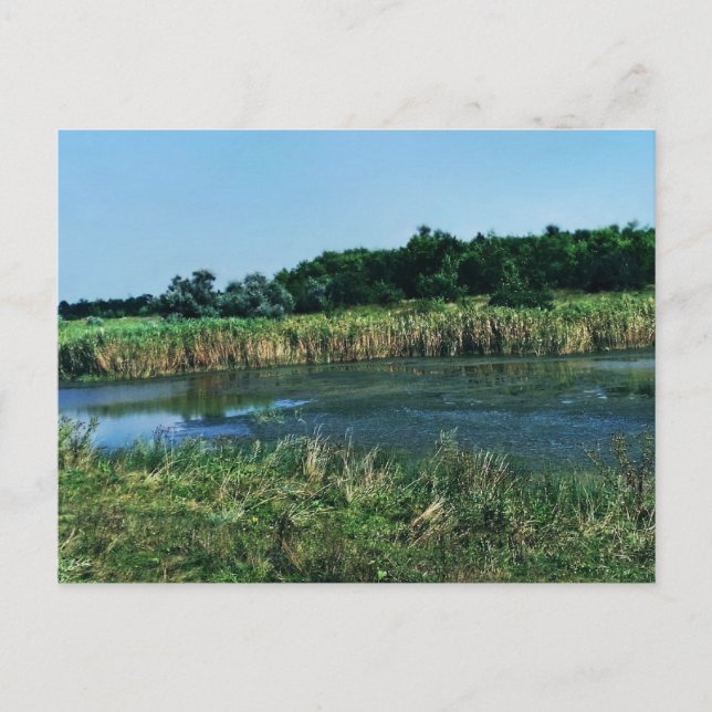 Molochnaya river near Melitopol.  South Ukraine Postcard (Front)