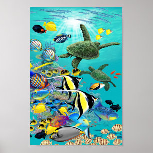 Molokini Cove Hawaiian Tropical Fish and Sea Turtl Poster