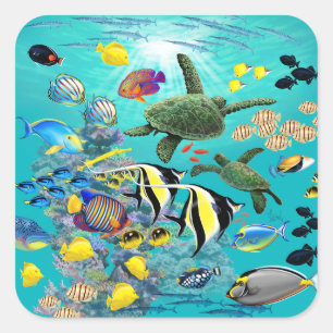 Molokini Cove Hawaiian Tropical Fish Sea Turtle Square Sticker