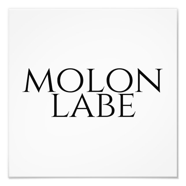 Molon Labe Photo Print (Front)