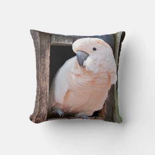 Moluccan Cockatoo Cushion