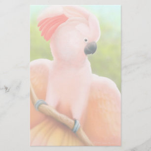 Moluccan Cockatoo Stationery