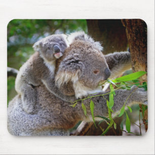 Mom and son Koala Mouse Mat