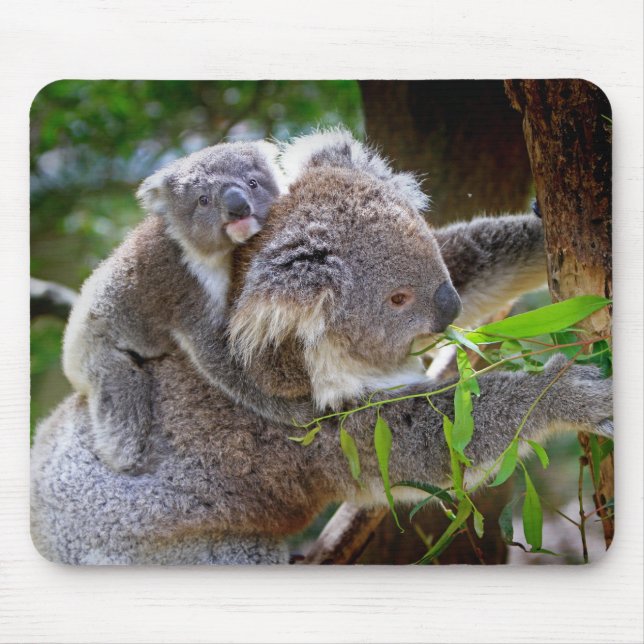 Mom and son Koala Mouse Mat (Front)