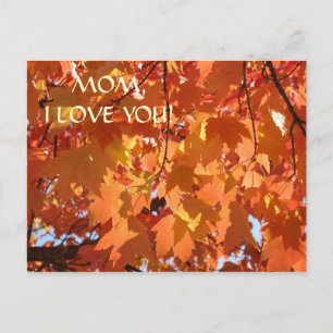 MOM I LOVE YOU! Post card Autumn Leaves Postcards