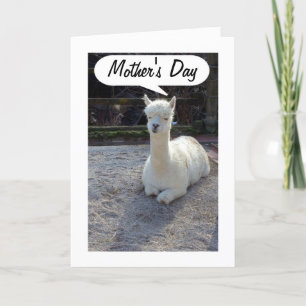 MOM-LLAMA says HAPPY MOTHERS DAY=AWESOME MOM Card