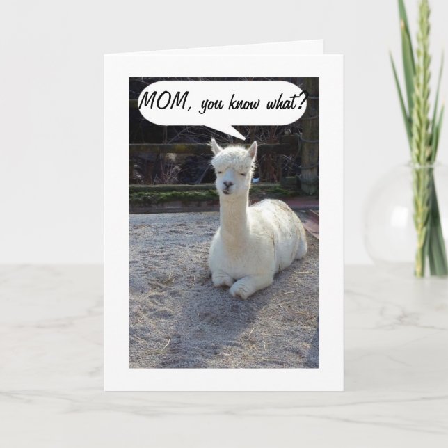 MOM-LLAMA TELLS NO ONE HAS A BETTER TWIN THAN ME CARD (Front)