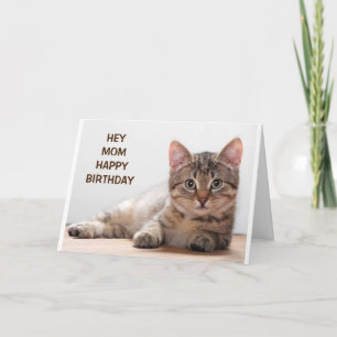**MOM** MY FAVORITE CAT LOVER'S BIRTHDAY CARD