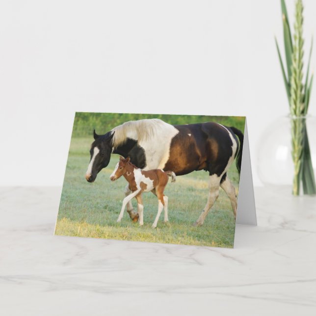 Mom & Newborn Paint Filly Card (Front)