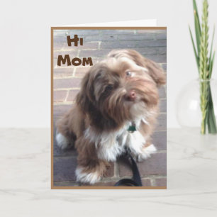 **MOM** ON YOUR BIRTHDAY FROM YOUNG CHILD CARD