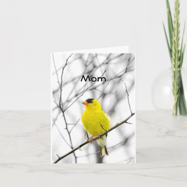 "MOM" ON YOUR BIRTHDAY TWEETING HAPPY BIRTHDAY CARD (Front)