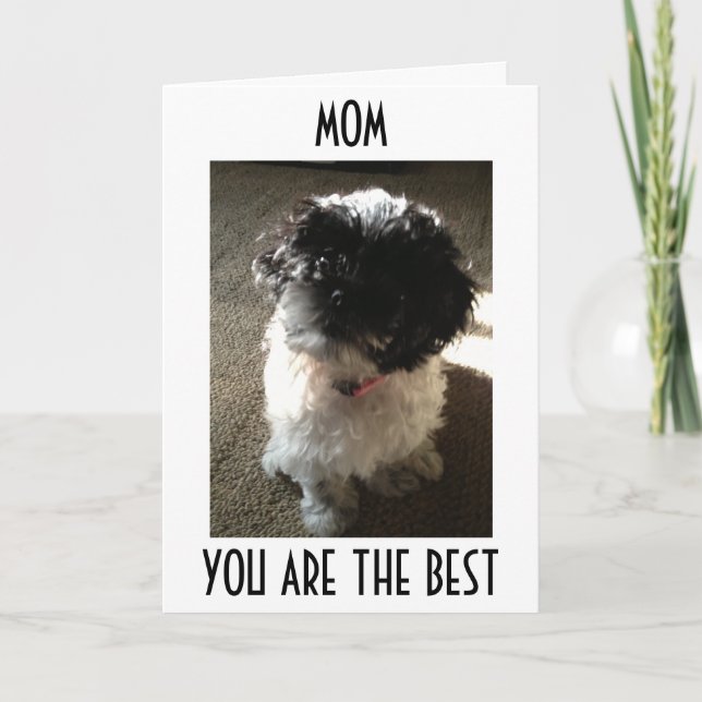 MOM-ONLY THE BEST FOR THE BEST MOM'S BIRTHDAY CARD (Front)