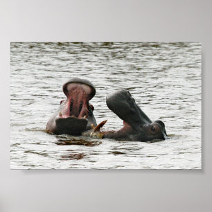Mom & son hippos playing poster