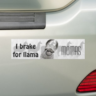 Moma Llama Menhdi Pattern Bumper Sticker